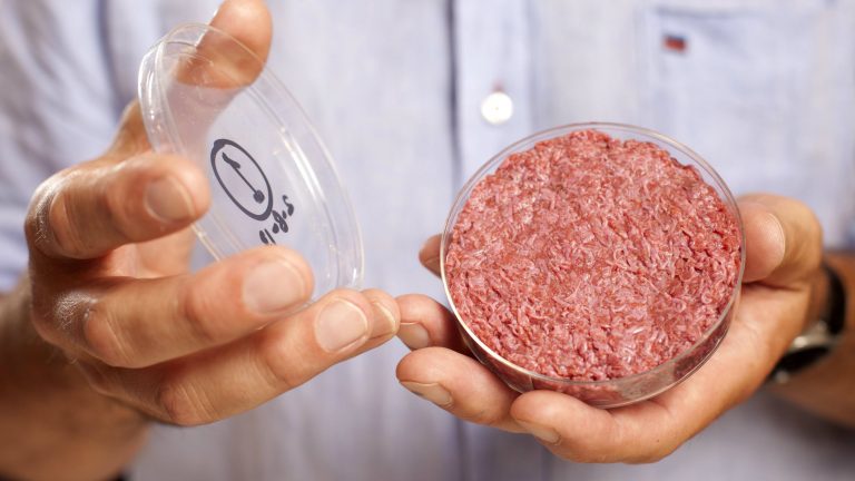 Bill Gates and Richard Branson bet against the farm with in lab-grown meat investments