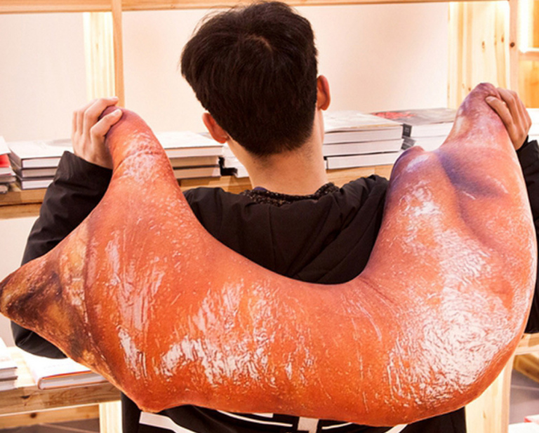 Life-like personality pillow that looks like a pig