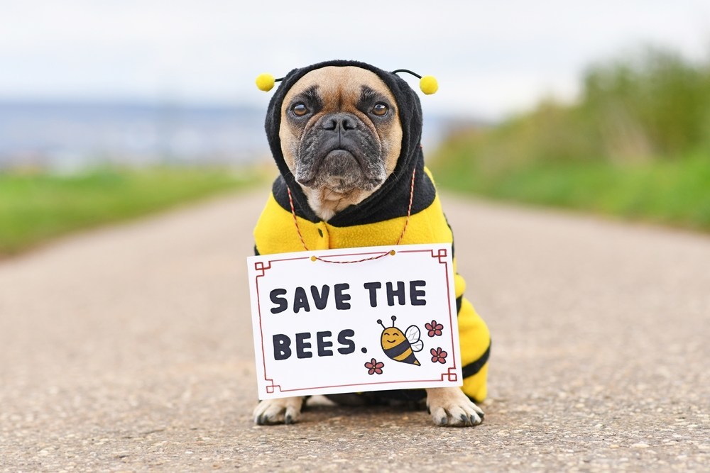 please help save the bees