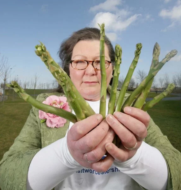 Jemima Packington, the psychic who reads asparagus