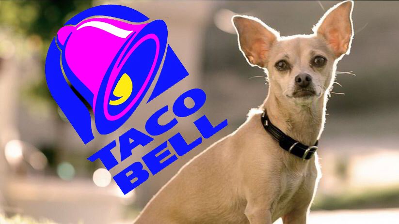 Uncover the story of Taco Bell’s iconic 1990s chihuahua mascot. Once beloved in ads, the dog vanished quietly, sparking debates over cultural stereotypes.