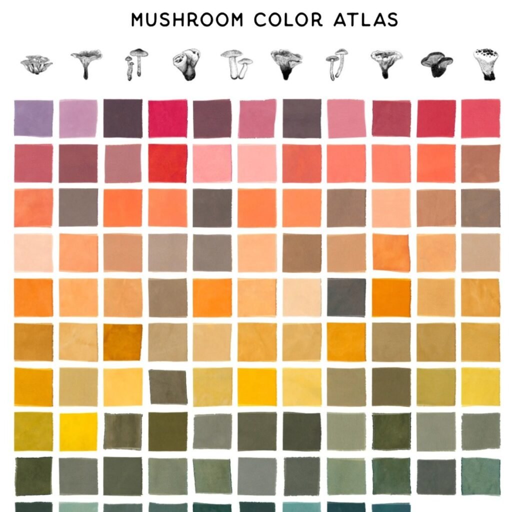 Discover 825 Mushroom Dyes: The Ultimate Mushroom Color Atlas Guide